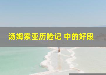 汤姆索亚历险记 中的好段